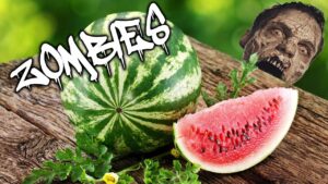 Zombies, Robots & Watermelon: Rainy Day (Call of Duty Zombies Map)