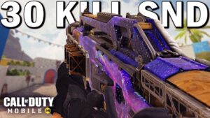 30 Eliminations in Search and Destroy... 😳