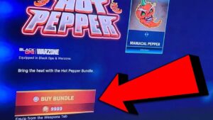 The devs are intentionally sabotaging Call of Duty as a whole