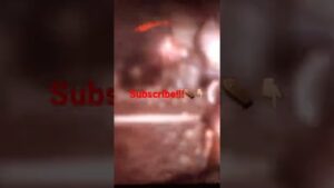 Call Of Duty Black Ops #shorts #shortvideo #cod #codblackops #subscribe #likeforlikes