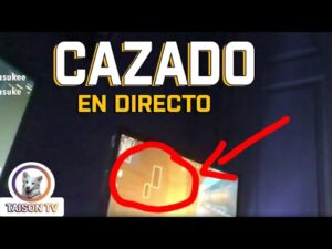 Se Caza Así mismo en Un Torneo con Wallhack Call of DUty Vanguard