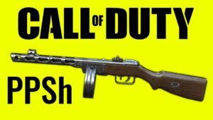PPSh-41 - Call of Duty EVOLUTION