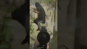 REPARTIENDO CÁTEDRA EN CALL OF DUTY WARZONE #shorts