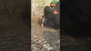 Call Of Duty WARZONE! Wasn’t expecting that