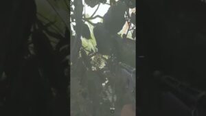 Call of Duty warzone Pro Tip #warzone #fyp #callofduty #warzoneclips  #summerofgaming