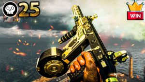 25 Kill Call of duty Warzone Rebirth gameplay solo win no commentary