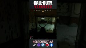 Surviving Call of Duty