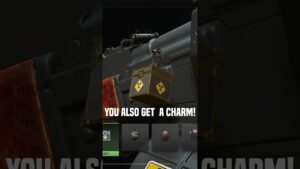 The Rarest Skin In Call Of Duty Warzone History