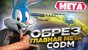 ШИКАРНАЯ КАТКА С HSO405 В CALL OF DUTY MOBILE | tiny toon codm