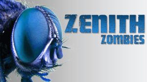 ZENITH ZOMBIES (Call of Duty Zombies Mod)