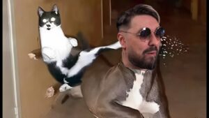 [LIVE] CALL OF DUTY WARZZONE