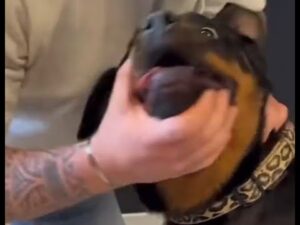 Call of Duty: Infinite Warfare