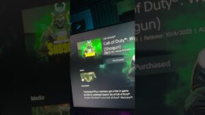 Call Of Duty MW2 Shogun PS Plus Combat Pack 6