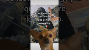 warzon 2.0 #gamingconsole#humor  multijugador, ranked, #resurgimiento BR call of duty, #xboxseriesx