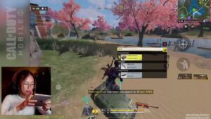 Call of Duty Mobile BR Gameplay | 24/11