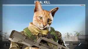 What Has Call of Duty Turned Into?