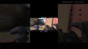 Bots pressed over, getting cooked on Call of Duty Cold War S&D.