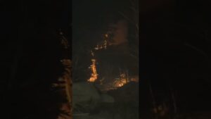 Call Of Duty WWll #codww2 #zombiescodWWll