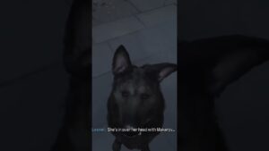 Call of Duty: Modern Warfare 3 2023 - Trojan Horse: Riley The Dog Cameo Easter Egg #shorts #gaming