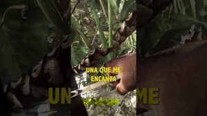 LAS MEJORES MISIONES DE GHOSTS | CALL OF DUTY GHOSTS