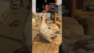 CHICKEN’S in Call Of Duty do THIS!? 😭😭😭