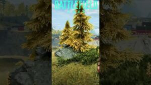 Call of Duty MW3 vs Battlefield 2042 - C4 Tree  Physics Comparison