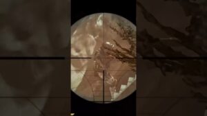 The Best Snipers in Call of Duty History!