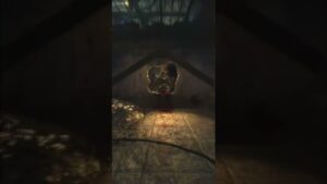 Top 5 PERKS In Call Of Duty Zombies...