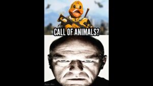 When Call Of Duty Becomes Call Of Animals... 💀🐀🐈🐇🐤 #modernwarfare3