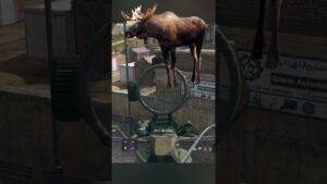 Big Game Hunting on Call of Duty Warzone 😂