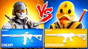 CHEAP vs EXPENSIVE Meta loadouts on Warzone