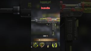 Call of Duty REMOVED this bundle..