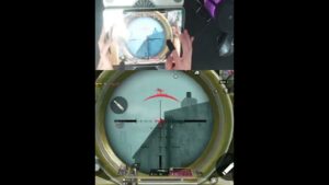 Clips from a Pro Call of Duty Mobile Battle Royale Player