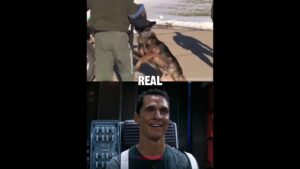 K9 (Riley) - Real Life Vs Call of Duty Modern Warfare Appearance