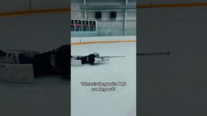 Call Of Duty Goalie Edition #hockey #icehockey #nhl #hockeygoalie