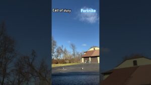 Fortnite or Call of duty