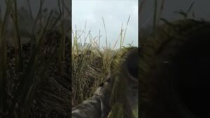 ultra realismo de call of duty modern Warfare 2 #viral #games #callofdutymodernwarfare2 #shorts