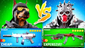 CHEAP vs EXPENSIVE REBIRTH Meta loadouts