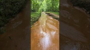 Remind you of a Call of Duty map? #youtubeshorts #callofduty #gaming #fyp