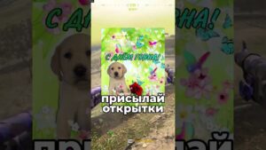 Это Самое Фановое Оружие в Call of Duty Warzone #callofduty #warzone #варзон #modernwarfare3 #shorts