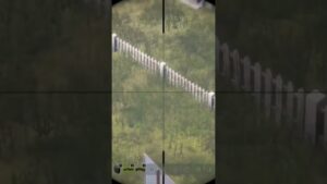 Como identificar un sniper de Call of duty en DayZ 🤔